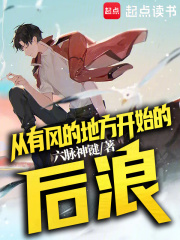 从有风的地方开始的后浪